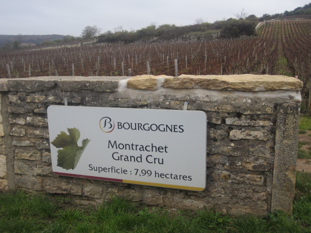 montrachet