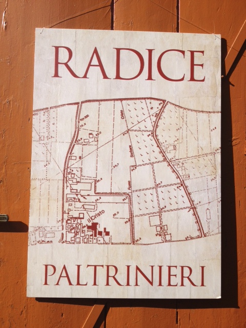 paltrinieri