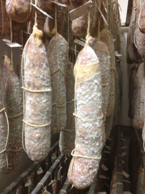 salami-in-affinamento