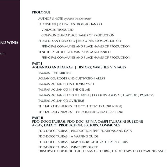 1. ENG Ebook 1 - Indice 1