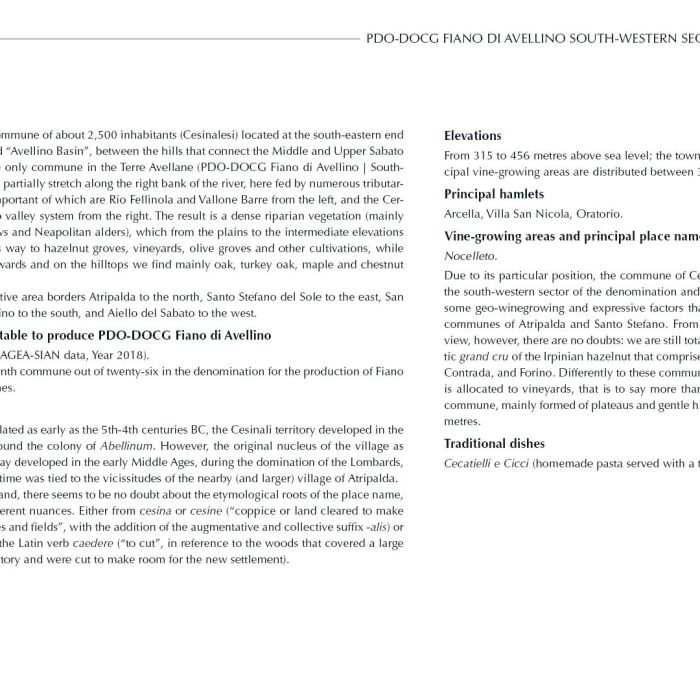 11. ENG Ebook 3 - Cesinali