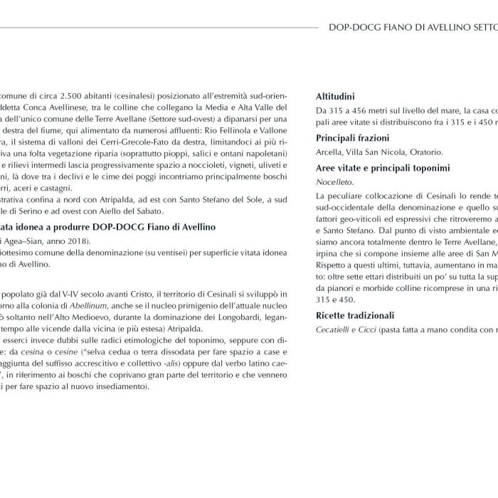 11. ITA Ebook 3 - Cesinali