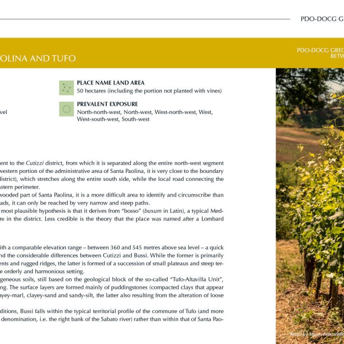 13. ENG Ebook 2 - Bussi 1