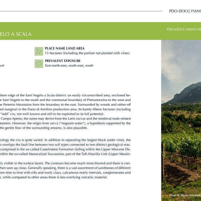 13. ENG Ebook 3 - Sacconi 1