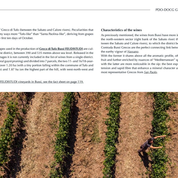 14. ENG Ebook 2 - Bussi 2