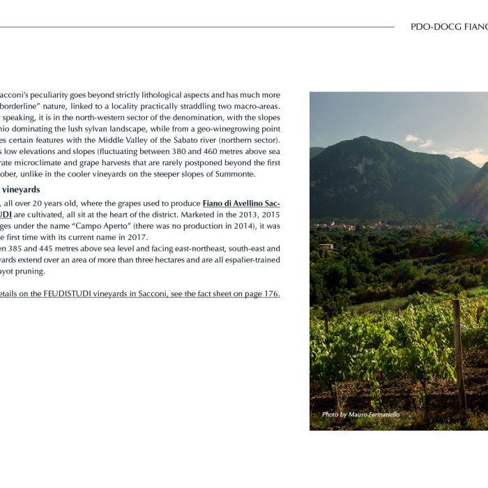 14. ENG Ebook 3 - Sacconi 2