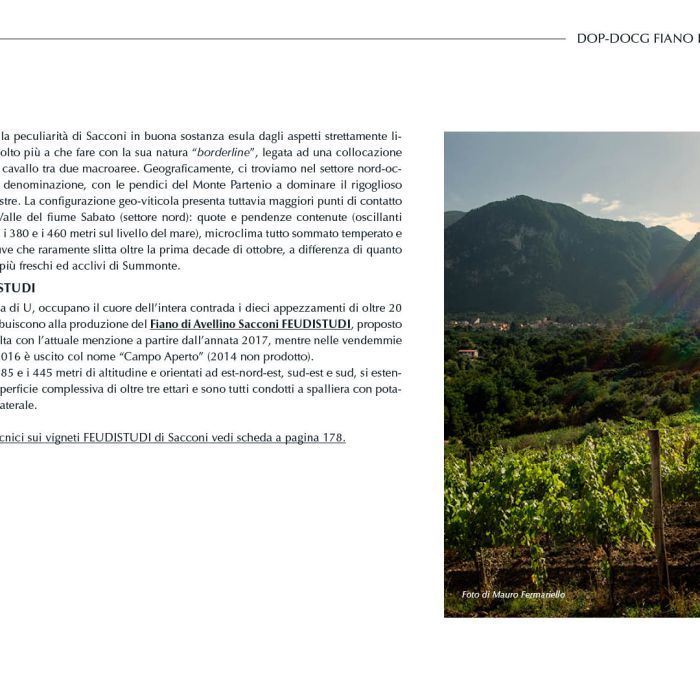 14. ITA Ebook 3 - Sacconi 2