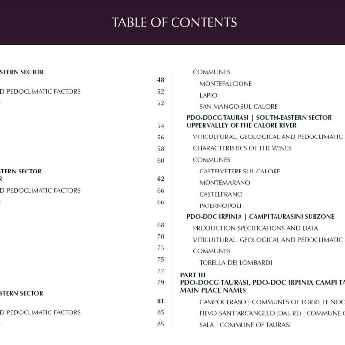 2. ENG Ebook 1 - Indice 2