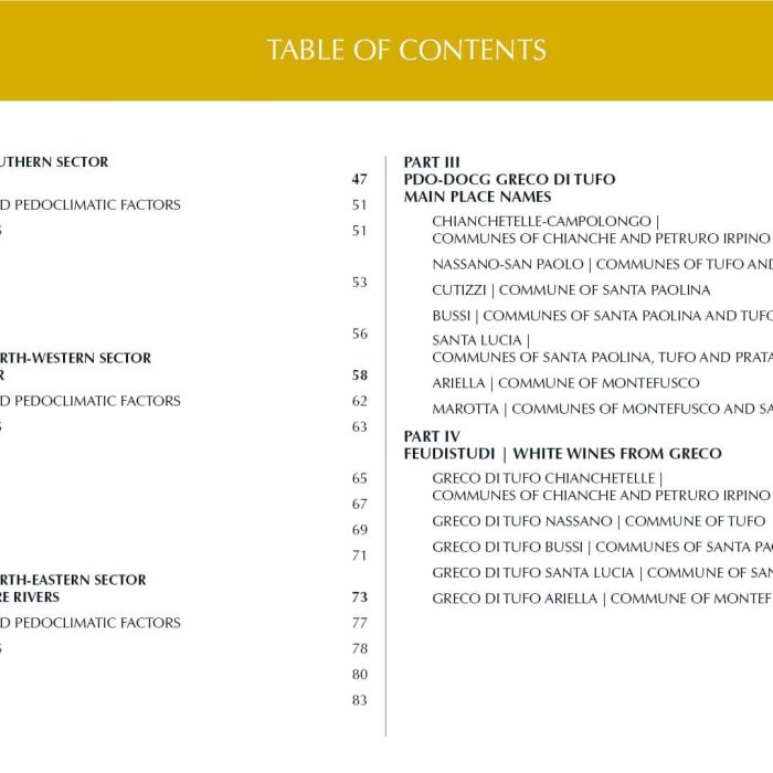 2. ENG Ebook 2 - Indice 2