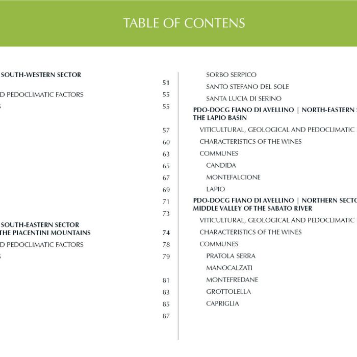 2. ENG Ebook 3 - Indice 2