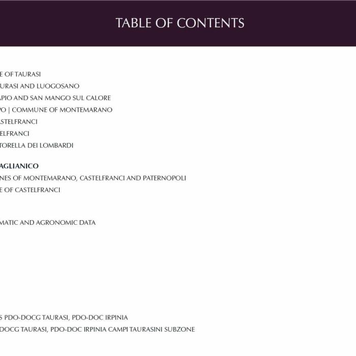 3. ENG Ebook 1 - Indice 3