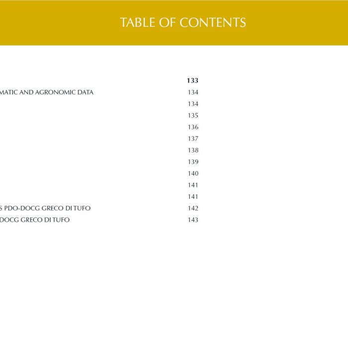 3. ENG Ebook 2 - Indice 3