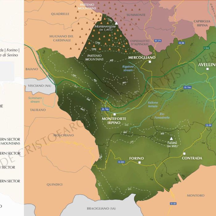 9.-ENG-Ebook-3---Fiano-di-Avellino-southwestern-sector-map-FILIG