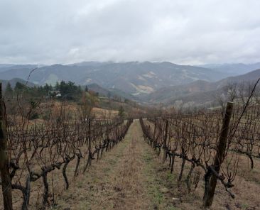 Monte Mirabello 0 - apertura