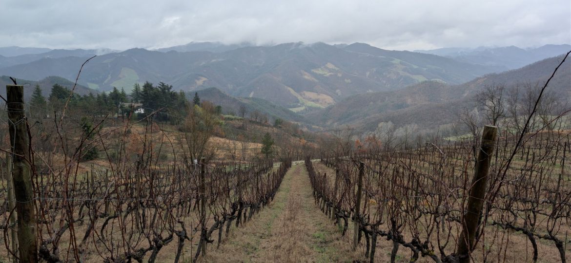 Monte Mirabello 0 - apertura