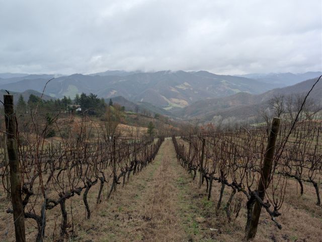 Monte Mirabello 0 - apertura